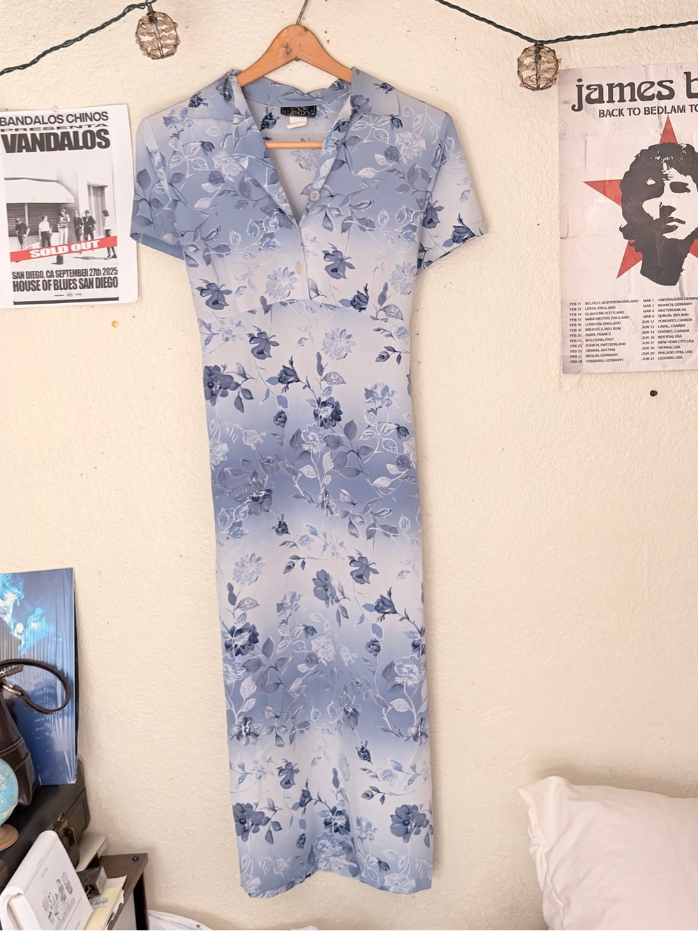 Vintage Eye Candy Maxi Floral dress